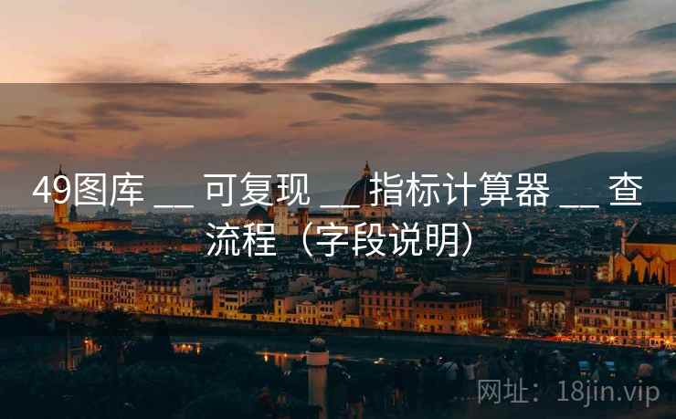 49图库 __ 可复现 __ 指标计算器 __ 查流程（字段说明）