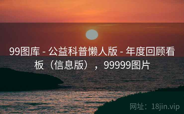99图库 - 公益科普懒人版 - 年度回顾看板（信息版），99999图片